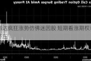 英伟达疯狂涨势仿佛迷因股 短期看涨期权带来挤压