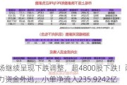 A股市场继续呈现下跌调整，超4800股下跌！两市264亿主力资金外逃，小单净流入235.9242亿