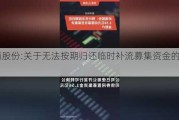 岭南股份:关于无法按期归还临时补流募集资金的公告