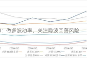 科创 50：做多波动率，关注隐波回落风险