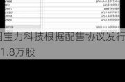 中国宝力科技根据配售协议发行1341.8万股