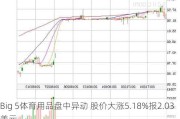 Big 5体育用品盘中异动 股价大涨5.18%报2.03美元