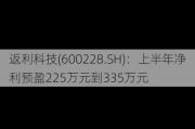 返利科技(600228.SH)：上半年净利预盈225万元到335万元