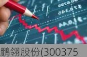 鹏翎股份(300375.SZ)：95.34%份额参与嘉兴欣景合伙企业投资