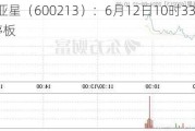 *ST亚星（600213）：6月12日10时33分触及涨停板