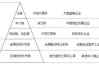 S股票的概念与特征：特定市场板块的分析