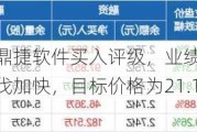 国投证券给予鼎捷软件买入评级，业绩稳健增长，AI新应用和出海步伐加快，目标价格为21.11元