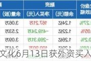 沪深股通|锋尚文化6月13日获外资买入0.02%股份