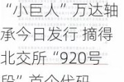 “小巨人”万达轴承今日发行 摘得北交所“920号段”首个代码