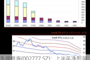 久远银海(002777.SZ)：上半年净利润同比预减90%-85%