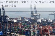 美国 5 月集装箱进口量增长 11.9%：中国进口反弹，港口延误改善