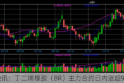 快讯：丁二烯橡胶（BR）主力合约日内涨超9%