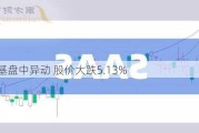 戴纳基盘中异动 股价大跌5.13%