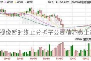 海信视像暂时终止分拆子公司信芯微上市