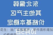 花生：油厂收购尾声，新作面积增加，价格偏弱