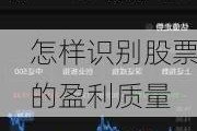 怎样识别股票的盈利质量