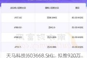 天马科技(603668.SH)：拟推920万份股票期权激励***