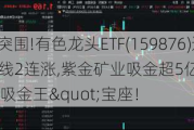 有色低调突围!有色龙头ETF(159876)逆市上探1.51%,日线2连涨,紫金矿业吸金超5亿元,荣登A股"吸金王"宝座！