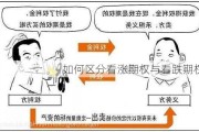 如何区分看涨期权与看跌期权