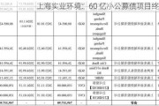 上海实业环境：60 亿小公募债项目终止