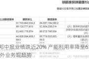 新宙邦中报业绩跌近20% 产能利用率降至63%仍扩产 海外业务现颓势