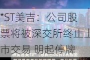 *ST美吉：公司股票将被深交所终止上市交易 明起停牌