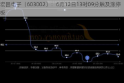 宏昌电子（603002）：6月12日13时09分触及涨停板