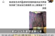 高铁座椅卫生遭质疑，12306回应有明显污渍即刻更换