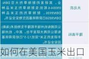 如何在美国玉米出口市场中寻找投资机会？这些机会有哪些潜在风险？