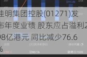 佳明集团控股(01271)发布年度业绩 股东应占溢利2.98亿港元 同比减少76.6%