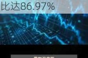 深交所：逸豪新材近8个交易日累涨101.35% 自然人买入占比达86.97%