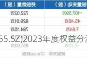 神州信息(000555.SZ)2023年度权益分派：每10股派0.320519元