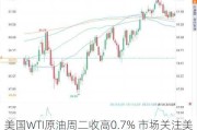 美国WTI原油周二收高0.7% 市场关注美国大选结果