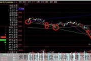 紫荆国际金融盘中异动 快速下挫5.31%