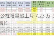 崔东树：6 月公桩增量超上月 7.23 万  充电领域新态势  公桩私桩增长