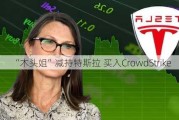 “木头姐”减持特斯拉 买入CrowdStrike