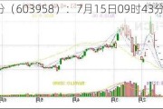 哈森股份（603958）：7月15日09时43分触及涨停板
