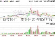 新致软件：累计回购约306万股