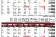 投资报告的持仓分析是什么