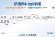 WTI 原油：上涨至每桶 75 美元以上，因欧佩克+供应政策调整