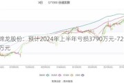 锦龙股份：预计2024年上半年亏损3790万元-7290万元