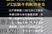 唐源电气(300789.SZ)：目前正在研究低空经济相关领域发展机会并积极进行可行性论证