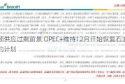 不顾供应过剩前景 OPEC+维持12月开始恢复石油产量的计划