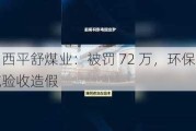 山西平舒煤业：被罚 72 万，环保设施验收***