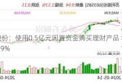 苏利股份：使用0.5亿元闲置资金购买理财产品 年化收益率1.9%