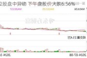 戴斯控股盘中异动 下午盘股价大跌6.56%