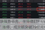 半导体板块强势领先，半导体ETF（512480）“狂飙”涨停，成交额突破79亿元！