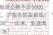 A股成交额不足5000亿，沪指创阶段新低！“828”一年来，到底谁在涨？