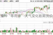 花生播种“等雨来” 天气变化致期货价格大起落