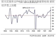 欧元区服务业PMI自1月以来首次跌破荣枯线 疲软经济雪上加霜